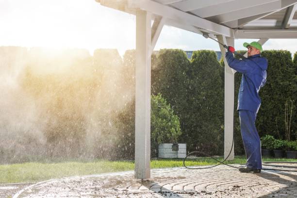 Best Driveway Cleaning and Restoration in Waynesville, MO
