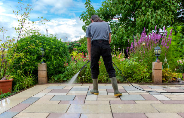 Best Soft Washing for Delicate Surfaces in Waynesville, MO